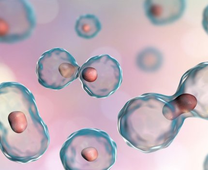 Cabaletta Bio испытает новый вариант клеточной терапии волчанки