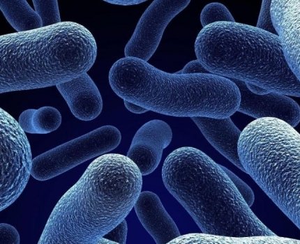 Boehringer Ingelheim и Google Pioneer внедрят квантовые вычисления в фармацевтические исследования