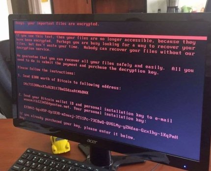 Кибервирус Petya.A уничтожил данные на 1100 компьютерах компании «Фармак»