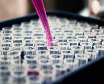 Astellas ліцензувала у Sangamo кандидат для лікування неврологічних захворювань