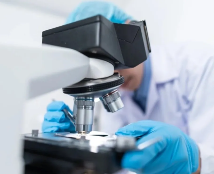 Доклинические исследования: FDA планирует заменить животных на органоиды и искусственный интеллект