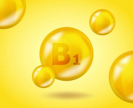 Витамин B1 положительно влияет на моторику кишечника