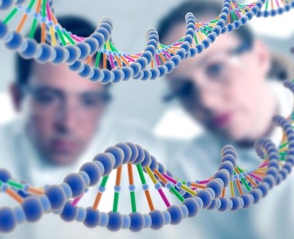 FDA утвердило уже третий препарат для лечения мышечной дистрофиии Дюшенна – но до сих пор не знает, работает ли какой-либо из них