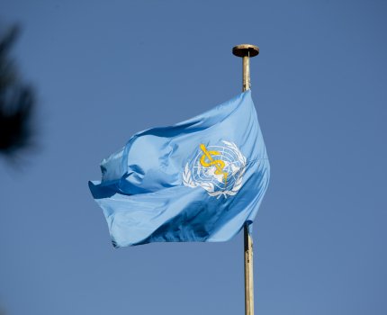 ВОЗ внедрит Global Malaria Programme в 35 странах мира к 2030 г.