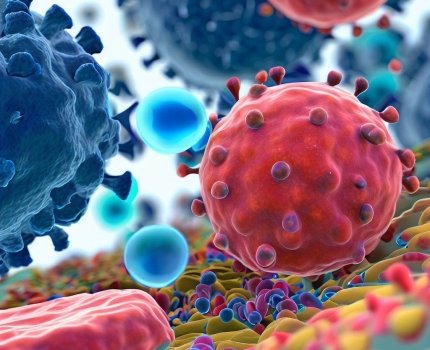 AbbVie розробить убивць раку за допомоги EvolveImmune Therapeutics