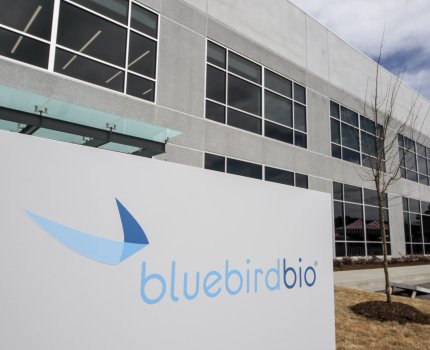 Bluebird «раскололи» пополам