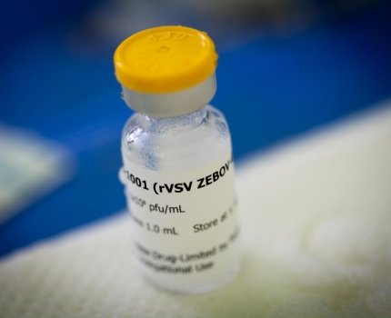 FDA разрешило прививать детей от Эболы вакциной MSD