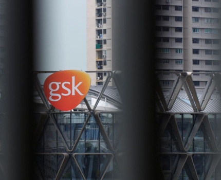 GSK предлагает свой вариант перволинейного лечения рака эндометрия