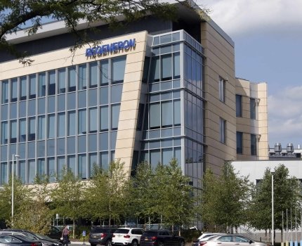 Regeneron нашла удачное дополнение к своему блокбастеру
