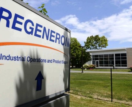В IV квартале чистая прибыль Regeneron увеличилась на 31%