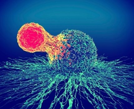 Bristol Myers Squibb розширить показання Breyanzi