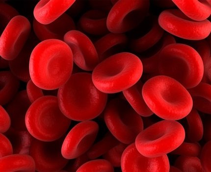 Генная терапия гемофилии: Biomarin и Pfizer представили обнадеживающие данные
