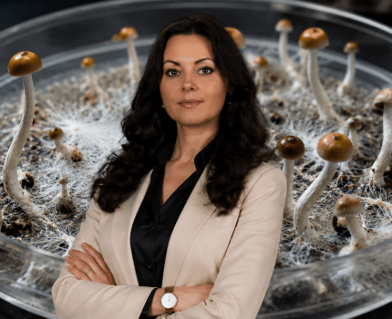 Инна Александровна Черненко, врач-психиатр высшей категории, психотерапевт, к. мед. н., профессор кафедры военной психиатрии, медицинской и клинической психологии Украинской военно-медицинской академии, подполковник м/с ВСУ (в отставке)