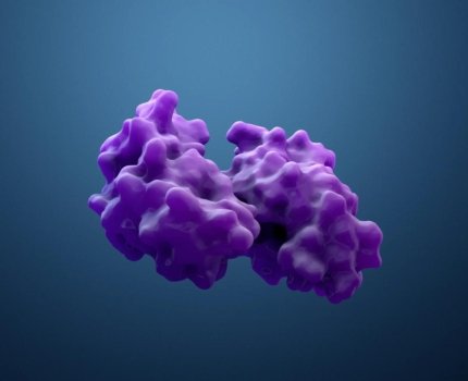 Bristol Myers Squibb купує у Orum Therapeutics деструктор протеїнів