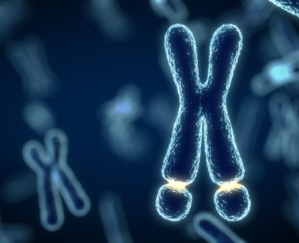 Kaerus Bioscience успешно запустила клиническую разработку препарата от синдрома ломкой X-хромосомы