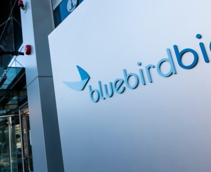 Bluebird Bio сокращает штат в Европе