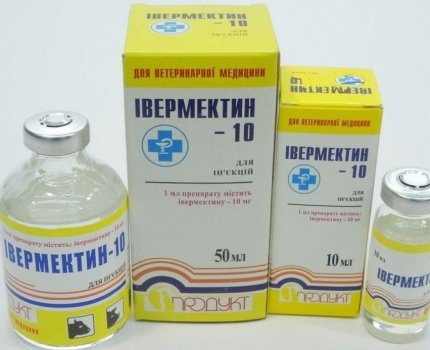 Екатерина Амосова прокомментировала использование ветеринарного препарата при COVID