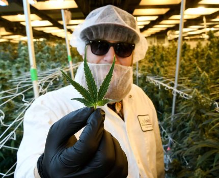 Jazz Pharmaceuticals купила производителя каннабиоидных препаратов