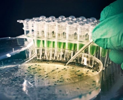 Разработка новых препаратов — все еще игра в угадайку, — основатель Verge Genomics Элис Чжан