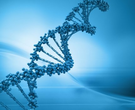 Bristol-Myers Squibb получит права на терапию аутоиммунных заболеваний компании Novo Nordisk