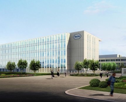 Roche запустит 11 исследований в области иммунотерапии рака уже к концу года