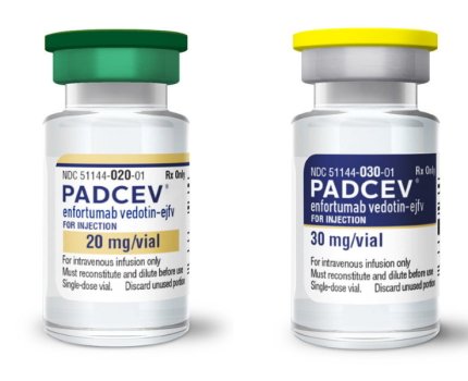 Перемога першої лінії: Padcev посилив Keytruda в умовах нелікованого раку сечового міхура