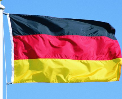 Германия присоединилась к соглашению между FDA и EMA – осталась лишь одна Словакия