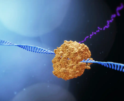 Biogen купує права на препарат Stoke Therapeutics