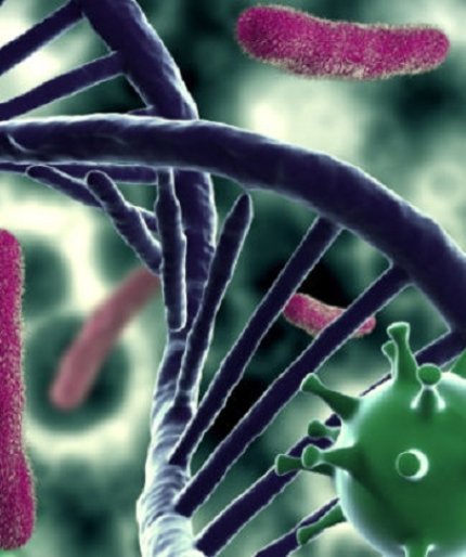 Перепроектирование генетического кода создает «файервол» для патогенов
