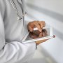 Уточнения НСЗУ по амбулаторным медицинским услугам: что поменяется с 1 сентября /freepik