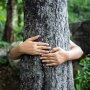 Лісове купання: користь цілющої сили природи доведена в дослідженнях