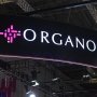 Organon добавила в европейский портфель лекарство против мигрени от Eli Lilly