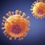 Нові стратегії боротьби з гепатитом В: розуміння патогенезу наближує до повної елімінації вірусу
