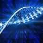Sarepta Therapeutics помогает запустить стартап по генной терапии