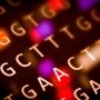 Omega Therapeutics продемонструвала потенціал нової моделі протипухлинних ліків
