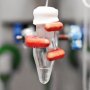 Cour Pharmaceuticals отримала орфанний статус для препарату, що модифікує перебіг первинного біліарного холангіту