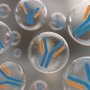 Революционная пневмококковая вакцина от Affinivax \ Astellas получила статус прорывной терапии