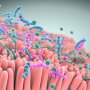 Nestlé делает ставку на пробиотик Seres Therapeutics