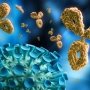 Як захиститися від ВІЛ? Відповідь потрібно шукати у геномі