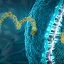 Первый фронт наномедицины: топ-5 компаний, изменяющих правила игры в адресной доставке лекарств