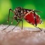 Результаты испытания вакцины Takeda от лихорадки денге: больше плохих новостей для Sanofi