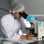 Trichophyton indotineae спричиняє дерматофітоз та є резистентним до деяких протигрибкових засобів