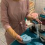 В Украине используют телемедицинские технологии для анализа показателей здоровья беременных /Пресс-служба Министерства здравоохранения Украины
