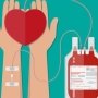 Правительство внесло изменения в порядок функционирования системы еКровь
