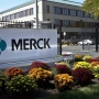 Merck выложит почти $3 миллиарда за новое лекарство
