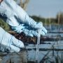 Як не заразитися інфекціям через забруднену воду: інфографіка /Факти