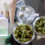 До української фармакопеї України додадуть монографію про коноплю