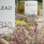Galapagos и Gilead одержали победу над склеродермией