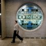 Новый препарат от хронического кашля от Merck «оброс» конкурентами еще до утверждения