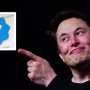 Илон Маск нечаянно обвалил акции инсулинового гиганта